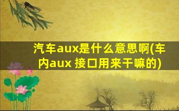 汽车aux是什么意思啊(车内aux 接口用来干嘛的)